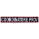 Distintivo Coordinatore Provinciale 